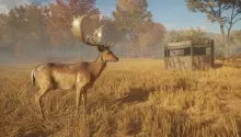 TheHunter Call of the Wild