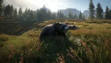 TheHunter Call of the Wild