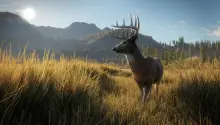 TheHunter Call of the Wild