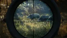 TheHunter Call of the Wild