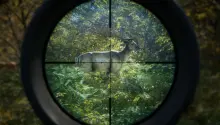 TheHunter Call of the Wild